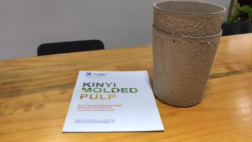 Biodegradable Pulp  Box Customized  Many Shapes Of Planting Pot1
