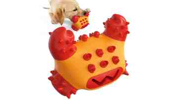 dog toy video
