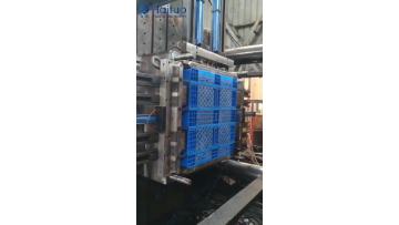 Plastic tray--24020201
