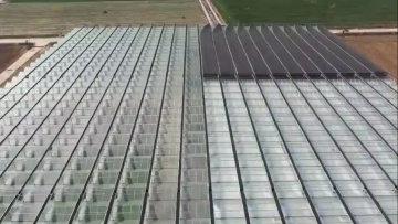 Cheap multi-span polycarbonate greenhouse price farming greenhouse for fresh vegetable planting China1