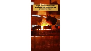 Video 8