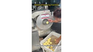 Potato cutting washing machine