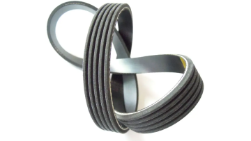 PM Ribbed Belt