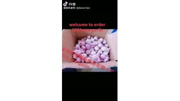 the cheapest garlic factory 