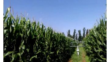 hose reel irrigation spray 3