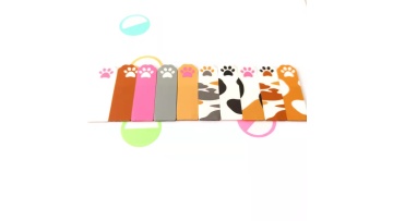 cat pet2