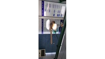 fan light gold