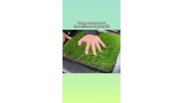 the resilience of grass silk