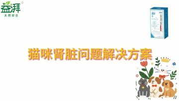 Pet kidney nutritional supplements car