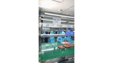 Medical Nebulizer Atomizing Plate Inspection Proce