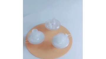 Bacterial Virus Filter BVF