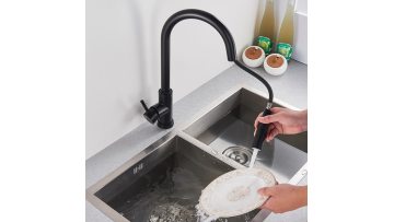 Black Dual Function Single Handle Kitchen Faucet 