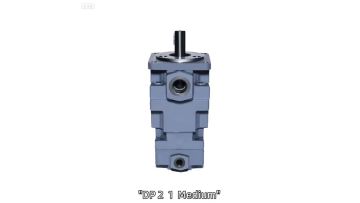 DP21 Medium‑High Pressure Vane Pump