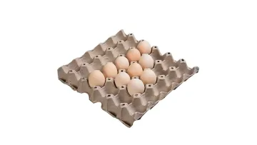 Biodegradable Pulp Paper Egg Cartons for Chicken Egg Boxes Egg Packaging Box1