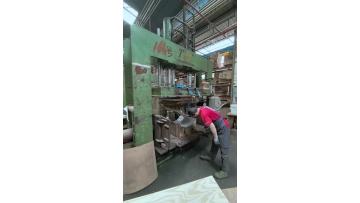 JX solid wood production  Video 1