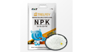 Soil Application NPK 21-21-21+TE Water Soluble Compound Fertilizer Bags1