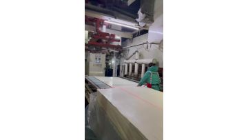 mealmine particle board-baiheiyusi