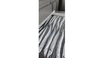 Tunnel freezer for whole ribbon fish