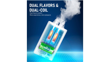 fibie vape geekbar25000puffs