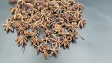 dried whole star anise