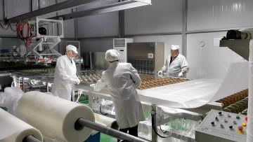 laminated glass