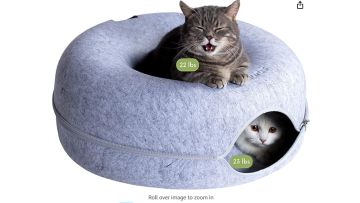 hot cat table