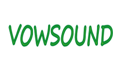 Dongguang Vowsound Electronics Co., Ltd.