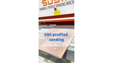 SDS13-Sanding of solid wood door panels