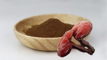 reishi mushroom extract powder