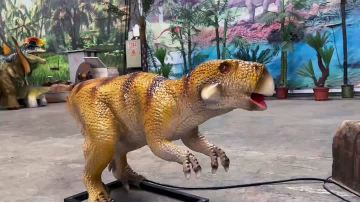 5.15Psittacosaurus