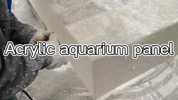 Customized Size Reef Aquarium Marine Fish Tank1
