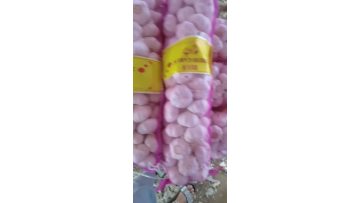 garlic processing 2