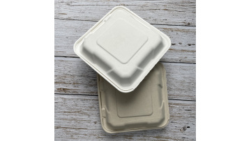 Sugarcane Bagasse Pulp Box Biodegradable 8 inches Container