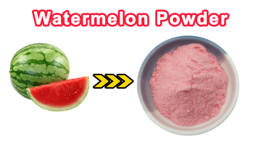 Watermelon Powder