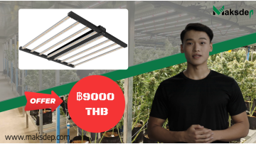 Hot Sale 800W Led Grow Light in Thailand with UV