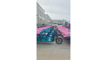 High-Quality Electric Tricycles Displayed in Production Area