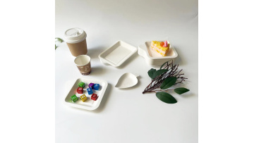 Bagasse Cake tray 
