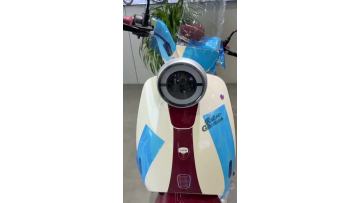 Convenient Street Legal Electric Scooter Model