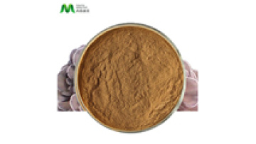 Mushroom Powder Polysaccharides 10%~50% Powder Maitake Mushroom Extract Powder1