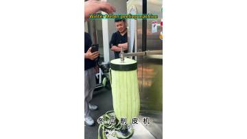 Winter Melon peeling machine vegetable peeler