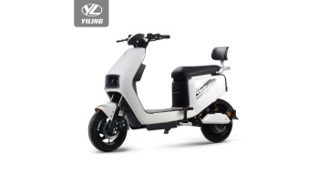 cheal delivery 48v 500w electric moped1