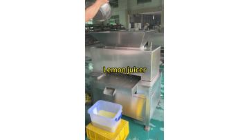 Industry Lemon juicer