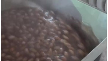 wet peeling machine