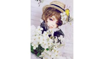 AKAGI DOLL Doll