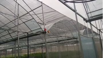 FilmMulti-span Greenhouse -3