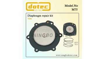 M75 diaphragm