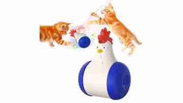 cat toy puzzle