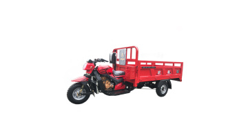 Multipurpose fuel powered motor tricycle
