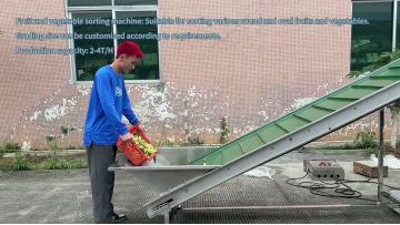 Fruit and vegetable sorting machine grading machine