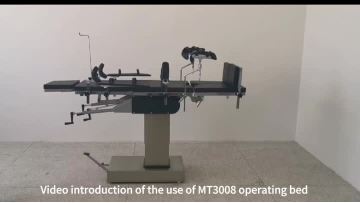 MT3008